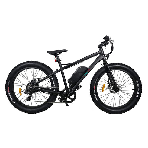 Burch Electric Mountain Bike Eagle